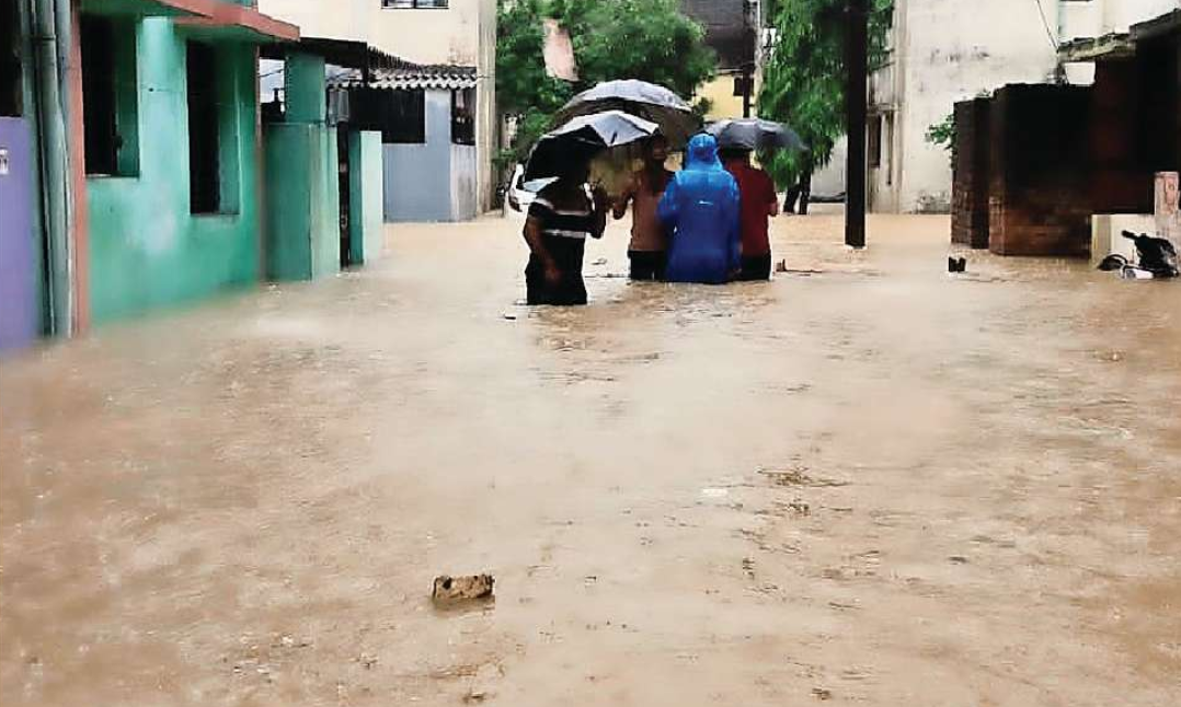 naidunia_image
